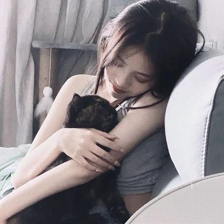 猪猪侠大电影·恐龙日记